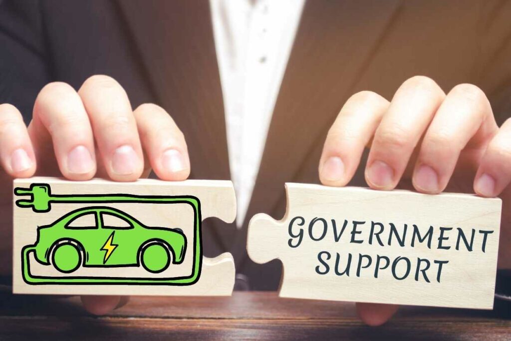 Government support